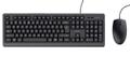 TRUST TKM-250 USB KEYBOARD AND MOUSE SET QWERTZ PERP (23978)
