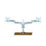 VALUE Dual Monitor Arm, Desk Clamp, 