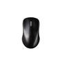 RAPOO 1620 2.4G Wireless Entry level 3 key Mouse - qty 1