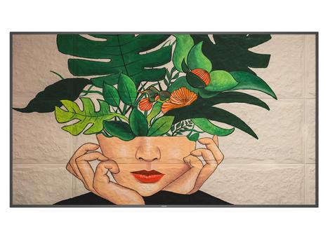 PHILIPS 75 D-Line FHD 24/7 (75BDL4511D/00)