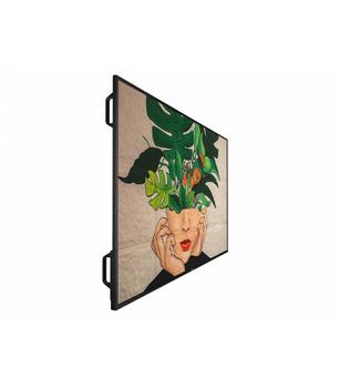 PHILIPS 55 D-Line FHD 24/7 (55BDL4511D/00)