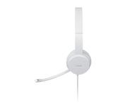 Lenovo Headphones/ Headset Wired (GXD1E71385)