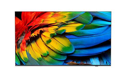 PHILIPS 65HFL6214U 50 Inch 3840 x 2160 Pixels 4K Ultra HD HDMI USB Android Mediasuite TV (65HFL6214U/12)