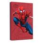 SEAGATE Marvel Spider Man Special Edition 2TB USB 3.0 RGB LED External Hard Drive (STKL2000417)
