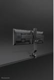 Neomounts by Newstar Flat Screen Desk Mount (FPMA-D860DBLACK)