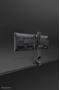 Neomounts by Newstar Flat Screen Desk Mount (FPMA-D860DBLACK)