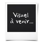 FUJI 1 Fujifilm Quicksnap Flash 27