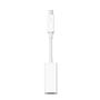 APPLE Thunderbolt to FireWire Adapter