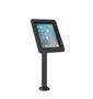 COMPULOCKS RISE with Vesa Mount