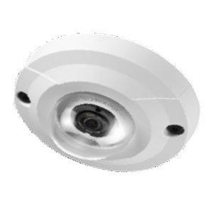 PELCO Vandal Lower Dome Surface (OBE-11-IWA)