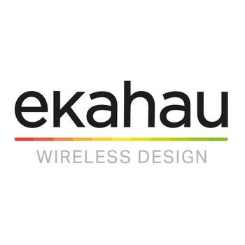 EKAHAU AI Pro Support - 1YR Renewal (ESS-PRO-SUP-R)
