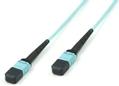 MICROCONNECT Fiber Patch Cable - MTP - MTP 