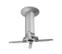 GRANDVIEW Ceiling Mount 235-165mm