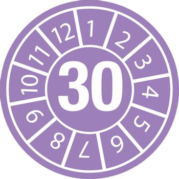 BRADY Inspection Date Labels (DATE INSPECTION LBLS B-500 30 - DIA 35)