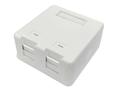 LANVIEW Surface mount box for 2 x 