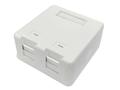 LANVIEW Surface mount box for 2 x  RJ45 jack