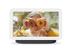 GOOGLE Nest Hub (2nd Gen) Smart display Brunsort 