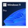 ERNITEC Windows 11 Pro OEM Upgrade