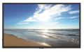 NEC MultiSync M321 Monitor 32inch 500cd/m2 D-LED backlight 24/7 proof USB