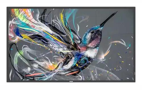 PHILIPS 65BDL3511Q/ 02 | Q-Line | 65"" | 3840x2160 | 400Nits | 18/7 | Built-in speaker | No SoC (65BDL3511Q/02)