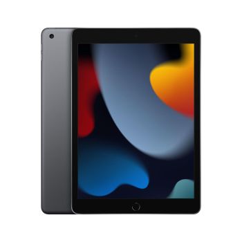 APPLE e 10.2-inch iPad Wi-Fi - 9th generation - tablet - 256 GB - 10.2" IPS (2160 x 1620) - space grey (MK2N3B/A)