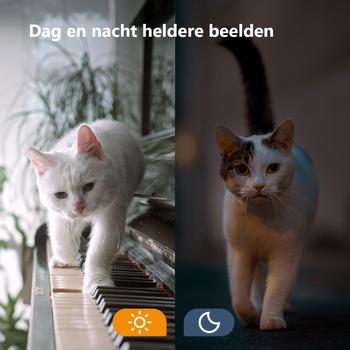 IMOU VERSA IPC-C22FP-C (IPC-C22FP-C)