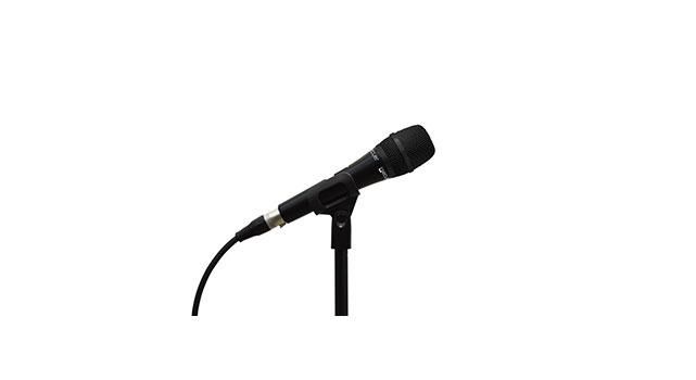 ECLER Handheld dynamic microphone (CEMHH1)