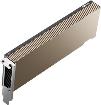 NVIDIA A A2 - GPU computing processor - NVIDIA A2 Tensor Core - 16 GB GDDR6 - PCIe 4.0 x8 low profile - fanless (900-2G179-0020-100)