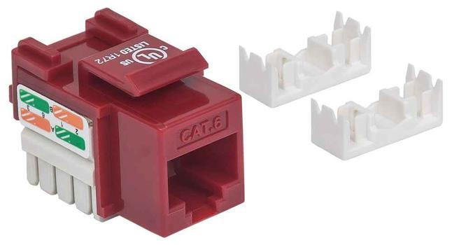 INTELLINET Keystone Jack Cat6 UTP RJ45 punch-down red (210614)