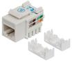 INTELLINET Keystone Jack Cat6 UTP RJ45 punch-down white