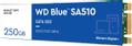 WESTERN DIGITAL Blue SA510 250GB WDS250G3B0B - SSD - internal - M.2 2280 - SATA 6Gb/s - blue