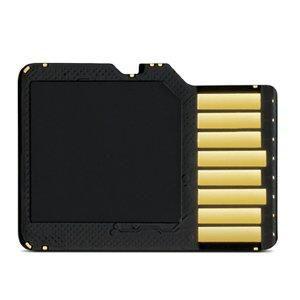 GARMIN TransFlash,  16 GIG Memory Card (010-10683-07)