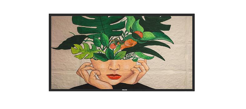 PHILIPS 50 D-Line FHD 24/7 (50BDL4511D/00)