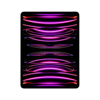 APPLE iPad Pro 12.9 Wi-Fi 1TB spacegrau (6.Gen.) *NEW* (MNXW3FD/A)