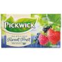 Remmer Pickwick Forest Fruit 20 tebreve