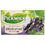 | Pickwick Blackcurrant 20 breve