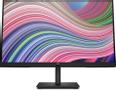 HP P22 G5 FHD Monitor