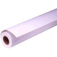 EPSON Prem Glossy Photo Paper (250) 16 inch x 30.5m (C13S041742)