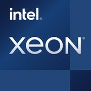 INTEL Xeon E-2356G - 3.2 GHz - 6-core - 12 threads - 12 MB cache - LGA1200 Socket - OEM