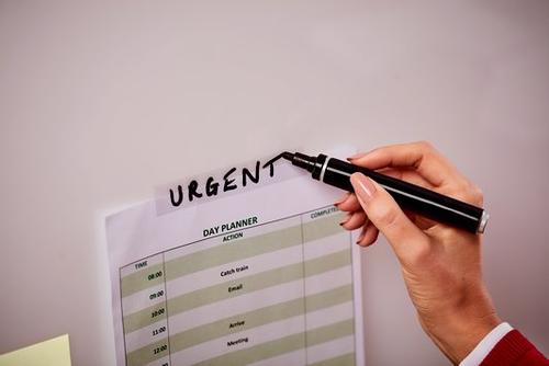 3M Tape Scotch magic 810 19mmx33m (7100024666*12)