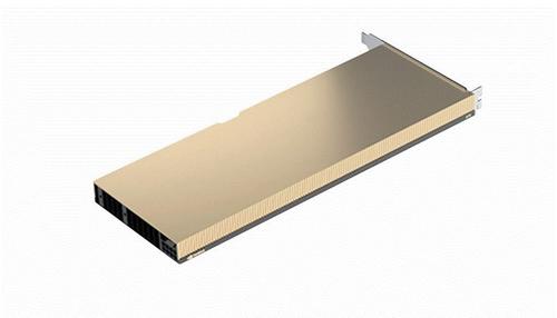 NVIDIA A10 - GPU computing processor (900-2G133-0020-000)