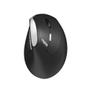 RAPOO Mouse EV250 Wireless 2.4GHz Black