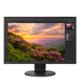 EIZO Monitor ColorEdge CS2400S 24" Svart