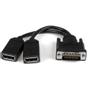 STARTECH 8IN DMS-59 TO DUAL DISPLAYPORT CABLE ADAPTER - DMS TO 2X DP CABL