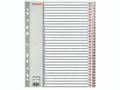 ESSELTE Indices  PP A4 Maxi 1-31 Grey