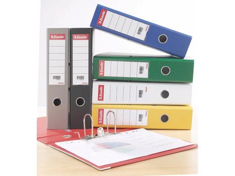 ESSELTE Spine Labels 70mm(100) (81082)