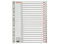 ESSELTE Indices  PP A4 Maxi 1-20 Grey
