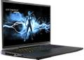 MEDION ERAZER Beast X40 (MD62505) - 17" - i9-13900HX - Nvidia GeForce RTX 4080 - 32GB DDr5 / 1TB (30035242)
