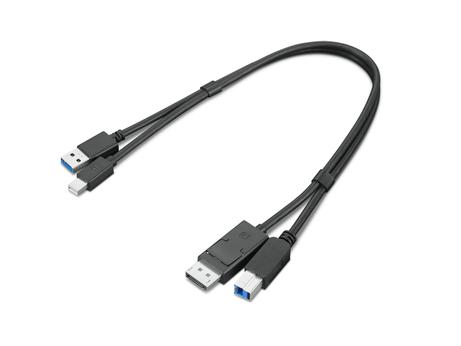 Lenovo Dual Head - display / USB-kabelsett - USB-type A, DisplayPort til USB Type B, Mini DisplayPort - 43 cm (4X91D11453)
