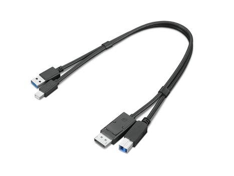 LENOVO Dual Head - Skärm/ USB-kabelsats - USB typ A, DisplayPort (hane) till USB Type B, Mini DisplayPort (hane) - USB 3.0 - 43 cm - svart - för ThinkStation P340 30DE, 30DF, 30DG, 30DR, 30DU, P350 30EF, 30EG (4X91D11453)